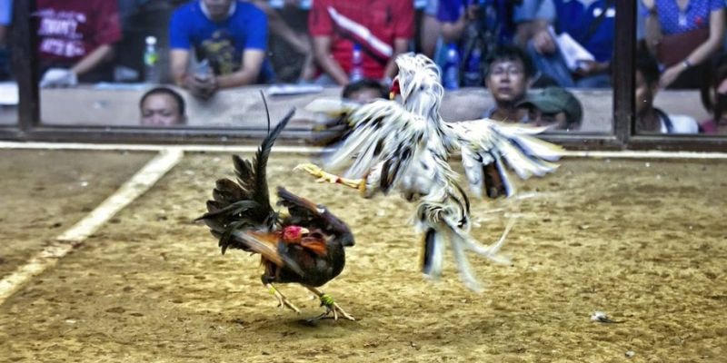 new888 ﻿đăng nhập lô đề uy tín