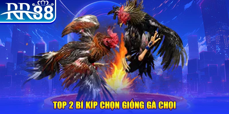 new888 bắn cá h5