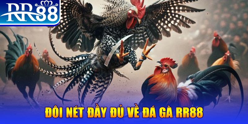 new888 gà chọi hoà phong