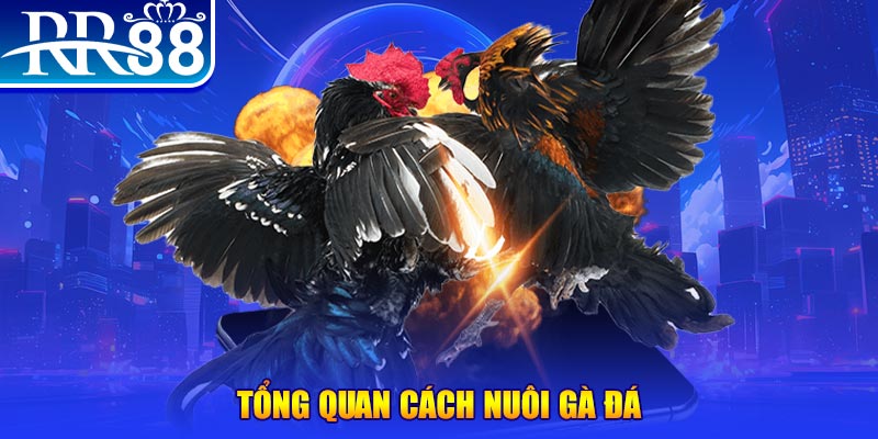 xổ số thứ ba