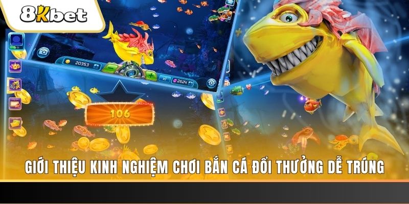 new888 xổ số miền bắc hôm
