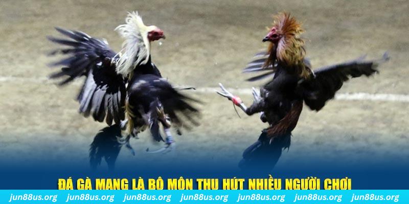 new888 xổ số long an