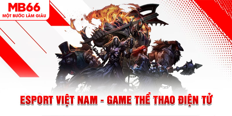 new888 PT Điện Tử