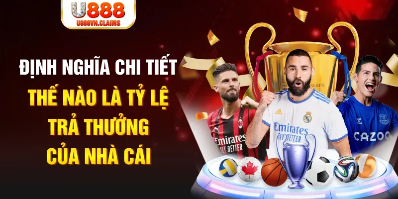 new888 đá gà thomo