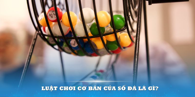 new888 Đĩa màu ace