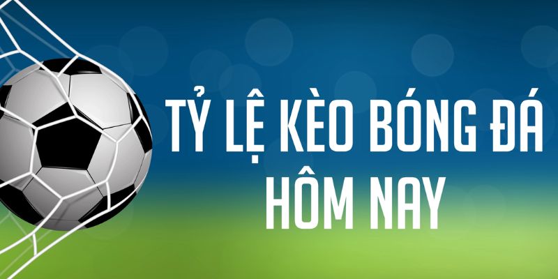 new888 ÁT CHỦ MÁY HOA QUẢ THẦN TÀI