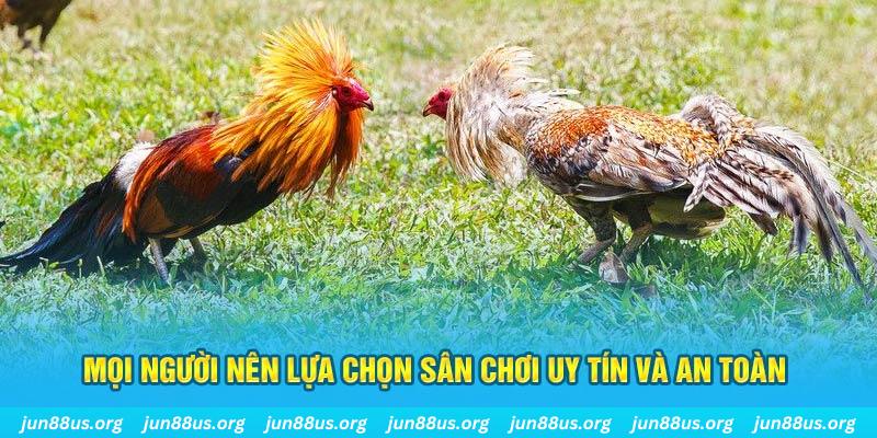 new888 Tài Xỉu