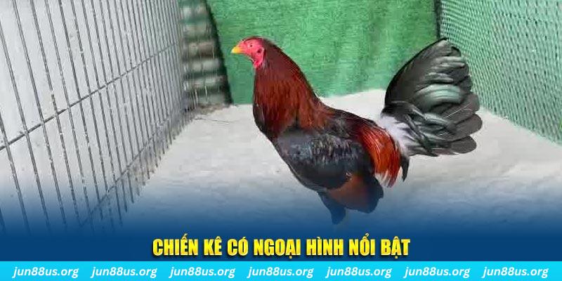 new888 nhạc slot là gì